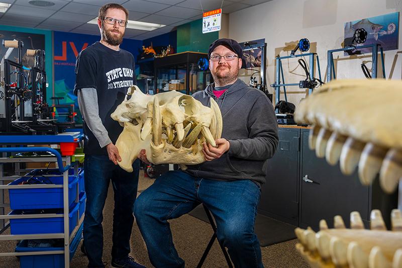 蒂姆·戈麦斯, 爱达荷虚拟化实验室的经理, 和雷夫·塔帕尼拉, director of the 爱达荷州自然历史博物馆 和 professor of geosciences at 爱达荷州 State University, pose with a 3D-printed replica of a hippopotamus skull at the IMNH.